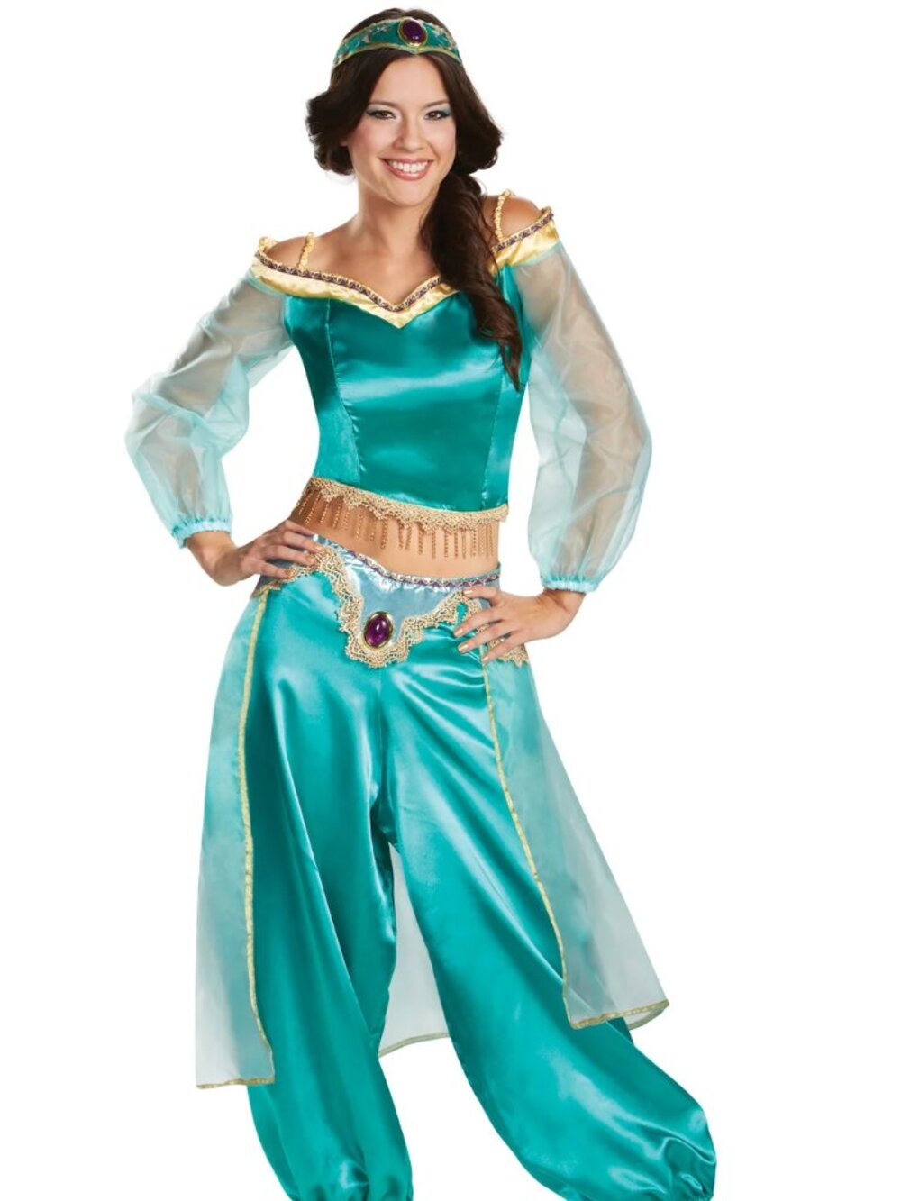 Jasmine Prestige Adult Costume (Large 12-14)